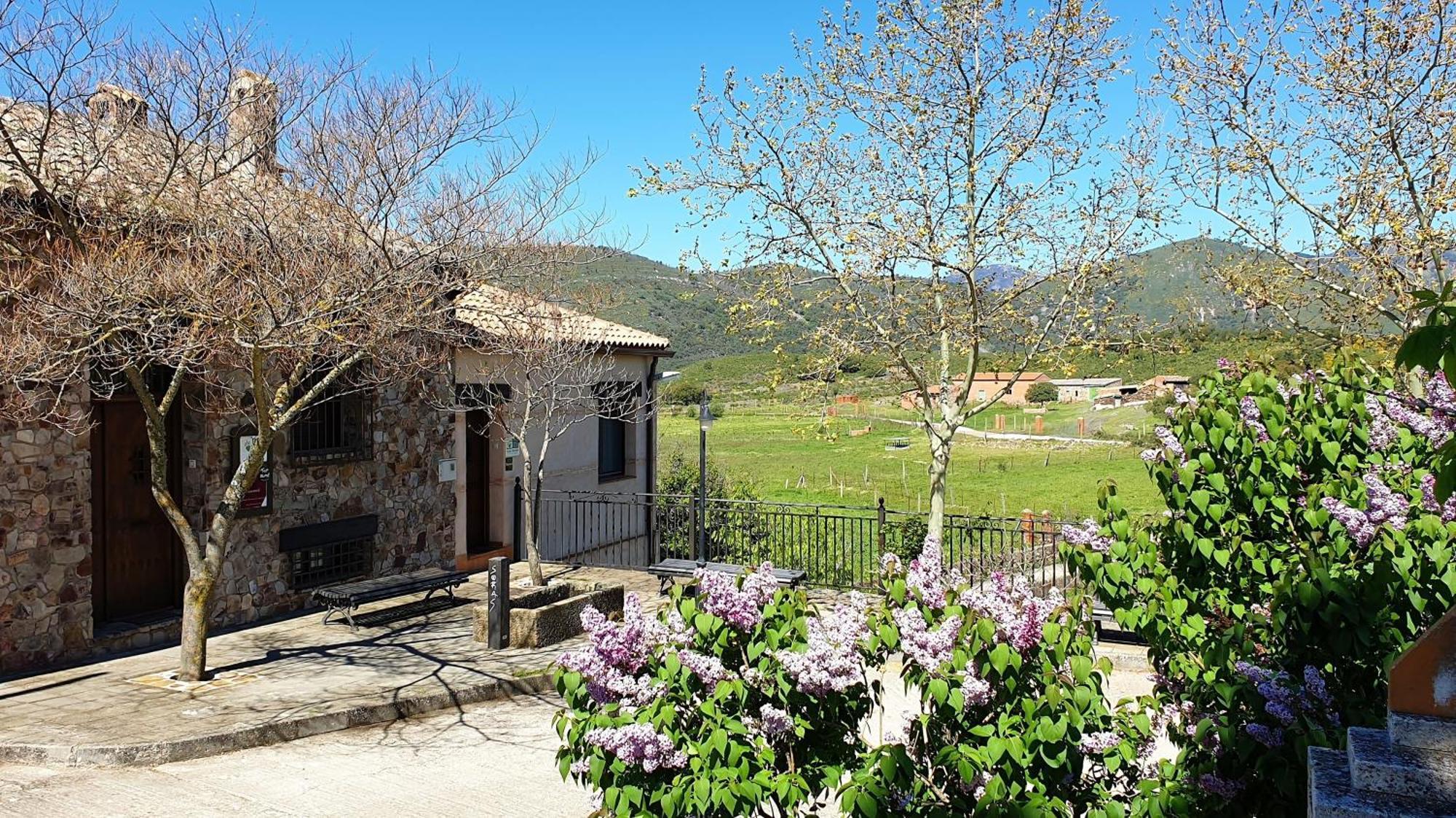 Casa de dos habitaciones con piscina privada en Cabañeros Navas de Estena Exterior foto